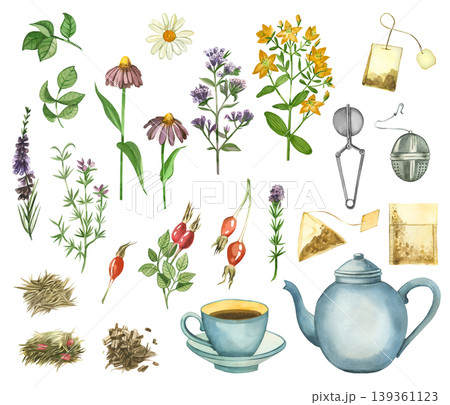 A set of watercolor illustrations on the theme of herbal tea. Hand-painted chamomile, echinacea, oregano, rosehip, Hypericum, tea bag, metal brewing nozzle, teapot and cup to create an organic drink. 139361123