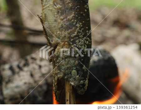 ヤマメの塩焼き ヤマメの塩焼き 139361254