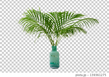Tropical Palm Leaves in a Teal Marble Glass Vase. palm tree in a flowerpot. palm tree in a vase. Coconut leaf, vase, isolate. Tropical Palm Leaves in a Teal Marble Glass Vase. palm tree in a flowerpot. palm tree in a vase. Coconut leaf, vase, isolate. 139361275