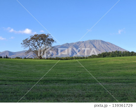 岩手山と一本桜 小岩井農場 岩手山と一本桜 小岩井農場 139361729