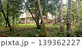 Brick House in a Serene Green Forest 139362227