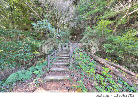 佐賀県　獅子ケ城　山城の様子 139362702
