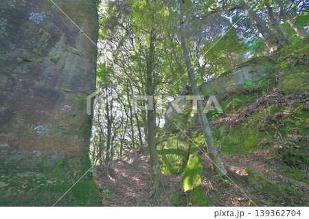 佐賀県　獅子ケ城　山城の様子 139362704