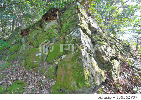 佐賀県 獅子ケ城 山城の様子 佐賀県 獅子ケ城 山城の様子 139362707