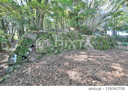 佐賀県 獅子ケ城 山城の様子 佐賀県 獅子ケ城 山城の様子 139362708