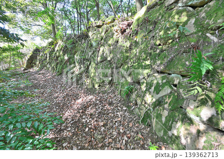佐賀県 獅子ケ城 山城の様子 佐賀県 獅子ケ城 山城の様子 139362713