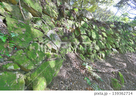 佐賀県 獅子ケ城 山城の様子 佐賀県 獅子ケ城 山城の様子 139362714