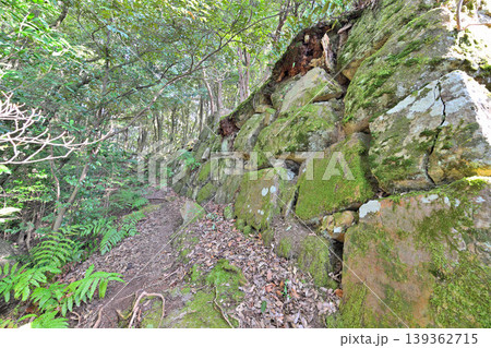 佐賀県 獅子ケ城 山城の様子 佐賀県 獅子ケ城 山城の様子 139362715