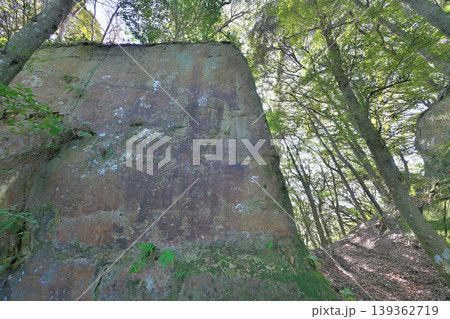 佐賀県 獅子ケ城 山城の様子 佐賀県 獅子ケ城 山城の様子 139362719