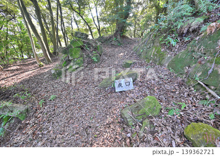 佐賀県　獅子ケ城　山城の様子 139362721