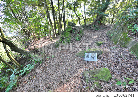 佐賀県　獅子ケ城　山城の様子 139362741
