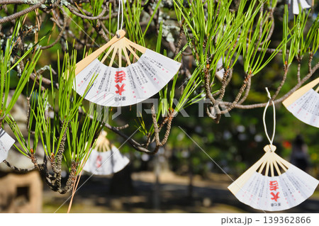 天橋立 智恩寺(京都府宮津市) 天橋立 智恩寺(京都府宮津市) 139362866