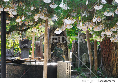 天橋立 智恩寺(京都府宮津市) 天橋立 智恩寺(京都府宮津市) 139362979