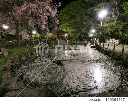 岐阜公園の桜のクルクル花筏 岐阜公園の桜のクルクル花筏 139363227