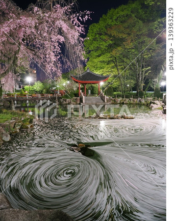 岐阜公園の桜のクルクル花筏 岐阜公園の桜のクルクル花筏 139363229