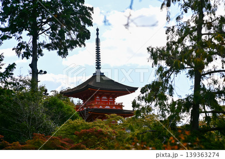 The view of kiyomizu-dera temple with trees and blue sky background in Kyoto, Japan. Major tourist attraction in Kansai region in Japan. Japan famous historic architecture. Building abstract.  139363274