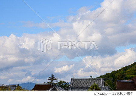 A bird flying in the sky above kiyomizu-dera temple in Kyoto, Japan. Major tourist attraction in Kansai region in Japan. Nature and travel concept. A bird flying in the sky above kiyomizu-dera temple in Kyoto, Japan. Major tourist attraction in Kansai region in Japan. Nature and travel concept. 139363494