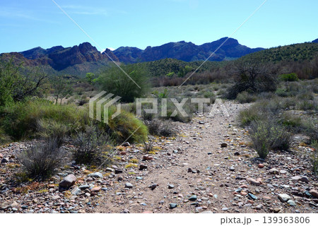 Salt River Recreation Area Arizona Salt River Recreation Area Arizona 139363806