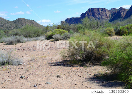 Salt River Recreation Area Arizona Salt River Recreation Area Arizona 139363809