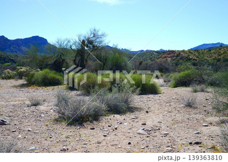 Salt River Recreation Area Arizona 139363810