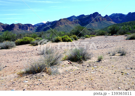 Salt River Recreation Area Arizona 139363811