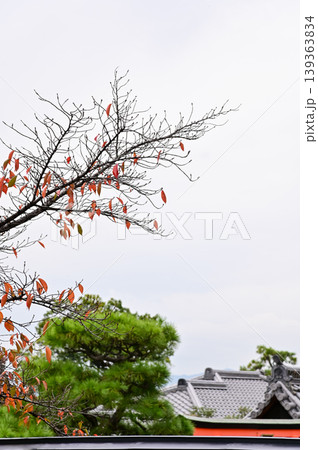 The nature view from Fushimi Inari Taisha(Fushimi Inari Shrine) in Kyoto, Japan. Fushimi Inari Shrine is a popular tourist destination. Stunning nature view of Kyoto. Trees, sky and architecture. The nature view from Fushimi Inari Taisha(Fushimi Inari Shrine) in Kyoto, Japan. Fushimi Inari Shrine is a popular tourist destination. Stunning nature view of Kyoto. Trees, sky and architecture. 139363834