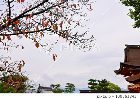 The nature view from Fushimi Inari Taisha(Fushimi Inari Shrine) in Kyoto, Japan. Fushimi Inari Shrine is a popular tourist destination. Stunning nature view of Kyoto. Trees, sky and architecture. The nature view from Fushimi Inari Taisha(Fushimi Inari Shrine) in Kyoto, Japan. Fushimi Inari Shrine is a popular tourist destination. Stunning nature view of Kyoto. Trees, sky and architecture. 139363843