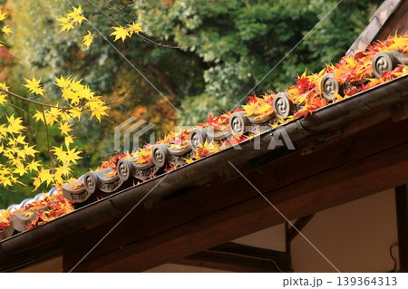 瓦屋根に積もる色鮮やかなもみじの葉 瓦屋根に積もる色鮮やかなもみじの葉 139364313