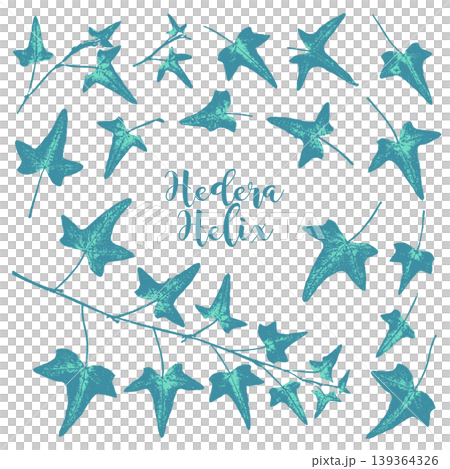 A stamp-like silhouette of ivy, created using the frottage technique. A stamp-like silhouette of ivy, created using the frottage technique. 139364326