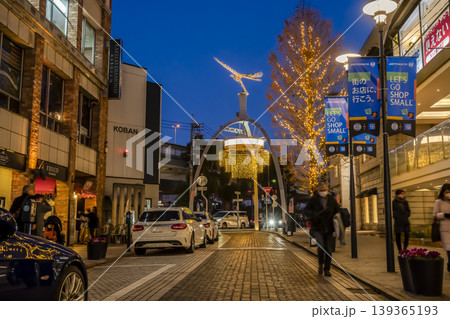 横浜の都市風景　夜の元町ショッピングストリート 139365193