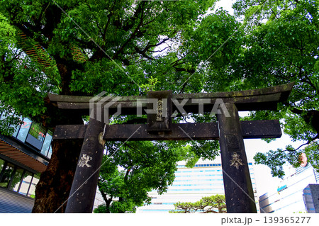 【福岡】初夏の天神・警固神社　境内の今益稲荷神社の鳥居 139365277