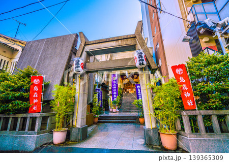 日本の東京都市景観 新橋・烏森神社などを望む。新時代へ 日本の東京都市景観 新橋・烏森神社などを望む。新時代へ 139365309