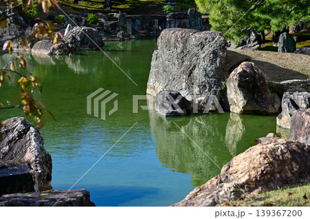 The Japanese gardern view of nijo jo castle, Kyoto, Japan. World Heritage Site, Japanese old traditional architecture in Kyoto, Japan. Background landscape of the beauty of Nijo Castle at sunny day. 139367200