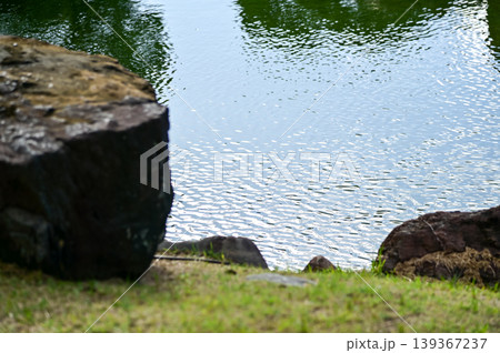 The Japanese gardern view of nijo jo castle, Kyoto, Japan. World Heritage Site, Japanese old traditional architecture in Kyoto, Japan. Background landscape of the beauty of Nijo Castle at sunny day. The Japanese gardern view of nijo jo castle, Kyoto, Japan. World Heritage Site, Japanese old traditional architecture in Kyoto, Japan. Background landscape of the beauty of Nijo Castle at sunny day. 139367237