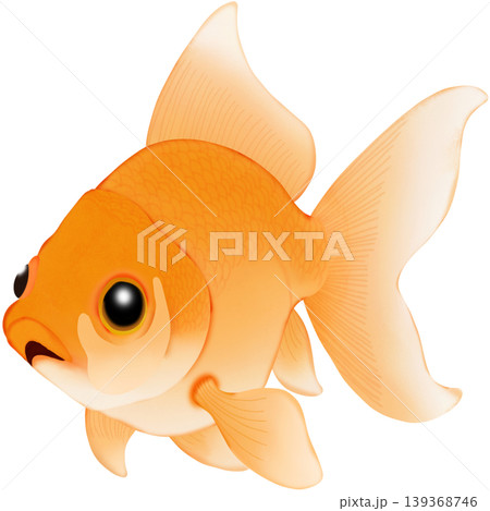 The cute goldfish  139368746