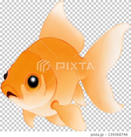 The cute goldfish  139368746