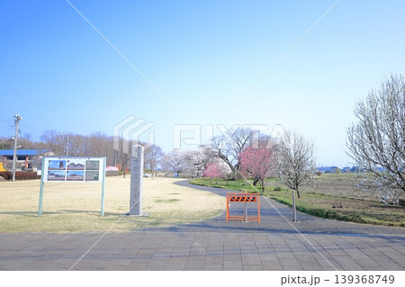 栃木県 下野市 天平の丘公園 栃木県 下野市 天平の丘公園 139368749