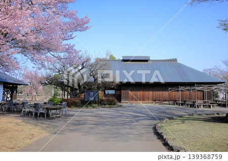 栃木県 下野市 天平の丘公園 桜と古民家 栃木県 下野市 天平の丘公園 桜と古民家 139368759