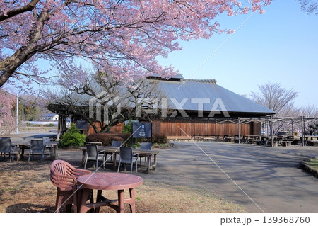 栃木県 下野市　天平の丘公園　桜と古民家 139368760