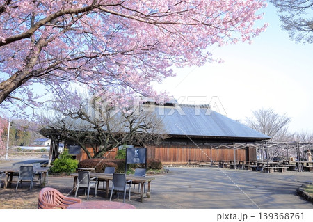 栃木県 下野市　天平の丘公園　桜と古民家 139368761