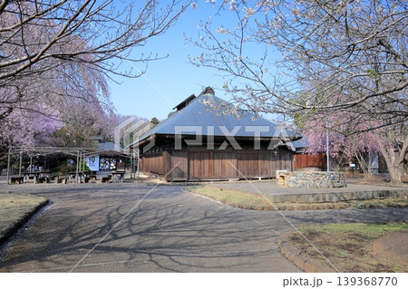 栃木県 下野市　天平の丘公園　桜と古民家 139368770