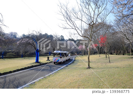 栃木県 下野市 天平の丘公園 坊ちゃん列車 栃木県 下野市 天平の丘公園 坊ちゃん列車 139368775