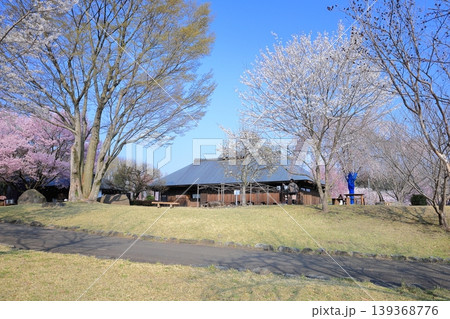 栃木県 下野市 天平の丘公園 桜と古民家 栃木県 下野市 天平の丘公園 桜と古民家 139368776