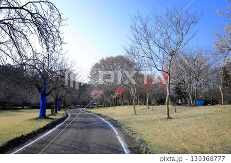栃木県 下野市 天平の丘公園 栃木県 下野市 天平の丘公園 139368777