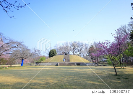栃木県 下野市　天平の丘公園　国見山 139368787
