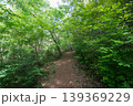 新緑の狭山丘陵内にある林の小径 139369229