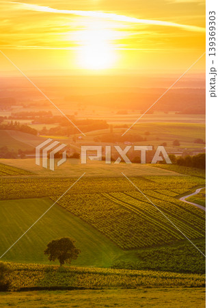 Vineyards at sunset, Jura wine region, Bourgogne-Franche-Comte in eastern France. Vineyards at sunset, Jura wine region, Bourgogne-Franche-Comte in eastern France. 139369303