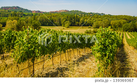 Vineyards and Roussillon on horizon. Vaucluse department of the Provence-Alpes-Cote d'Azur in France. Vineyards and Roussillon on horizon. Vaucluse department of the Provence-Alpes-Cote d'Azur in France. 139369367
