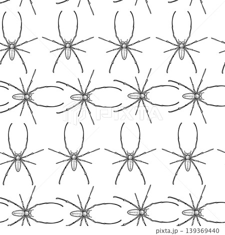 Black and white spider vector seamless pattern. Halloween spooky decorative endless design. Repeatable insects drawing for textile print. Bugs outline monochrome wallpaper. Spiders outline backdrop. 139369440