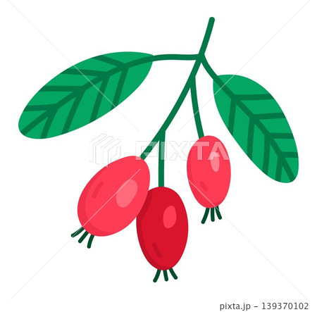 Vector cartoon barberry berries twig clipart. Woodland, forest or garden brunch plant icon isolated on white background. Forest nature red berry illustration. Cottage core harvest Vector cartoon barberry berries twig clipart. Woodland, forest or garden brunch plant icon isolated on white background. Forest nature red berry illustration. Cottage core harvest 139370102